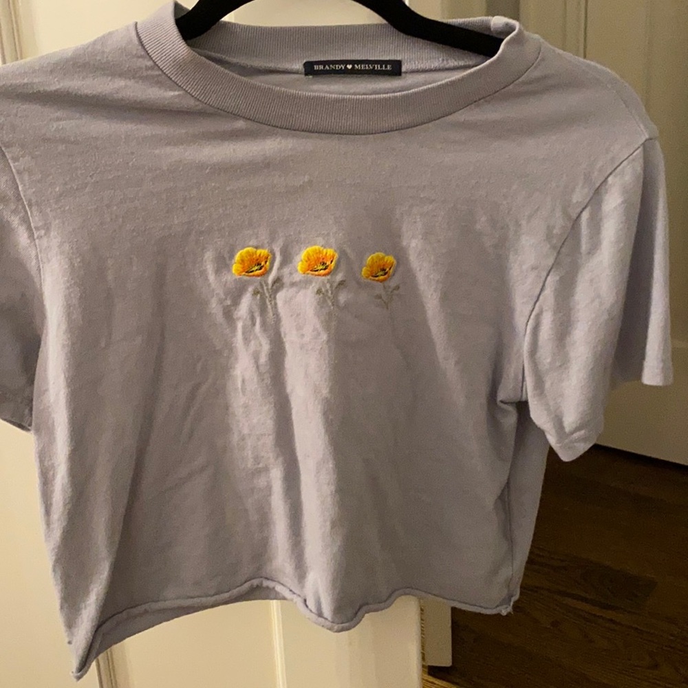 Brandy Melville/John Galt Helen Poppy Cropped top